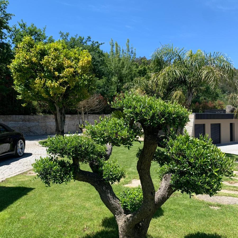 InfiasQuinta De Santa Ana, Em Vizela公寓 外观 照片